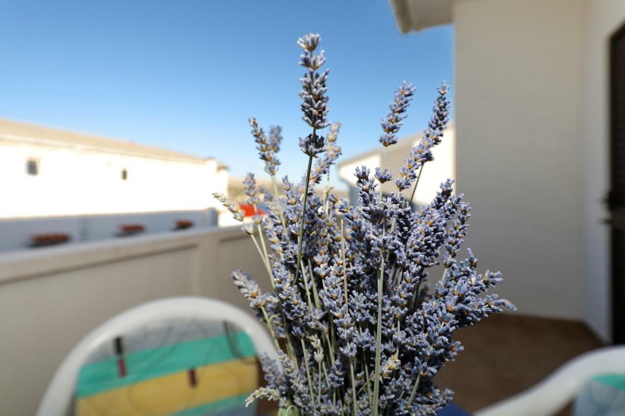 Apartmani Mila Pag Town Esterno foto